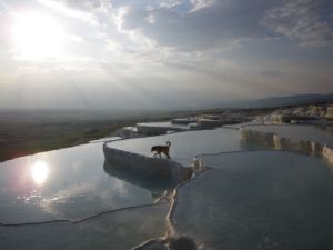 Pamukkale terraces - with dog.
